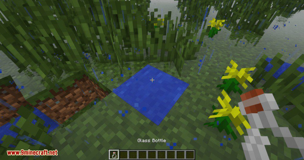 Puddles Mod (1.18.2, 1.16.5) - Having Fun In Puddle 6