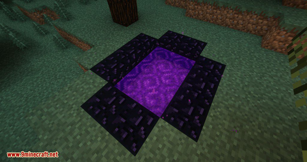 RandomPortals Mod 1.12.2 (Too Many Portals) 3