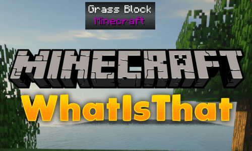 WIT Mod 1.13.2, 1.12.2 (What Is That?) Thumbnail