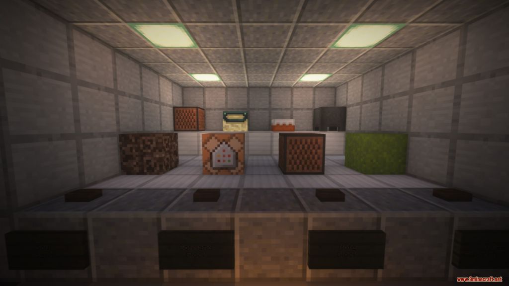 What Fits In? Map 1.13.2 for Minecraft 4