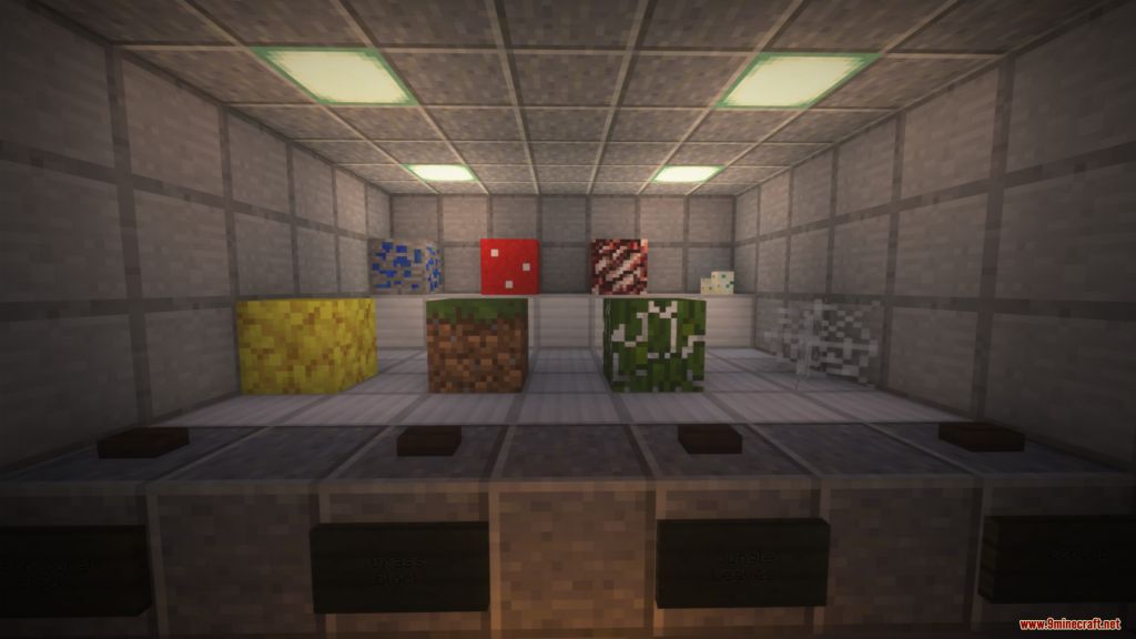 What Fits In? Map 1.13.2 for Minecraft 8