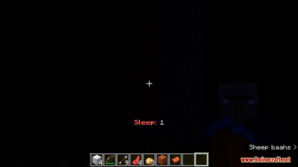 Sleep Bar Data Pack (1.16.5, 1.13.2) - Add More Depth To Your Gameplay 6