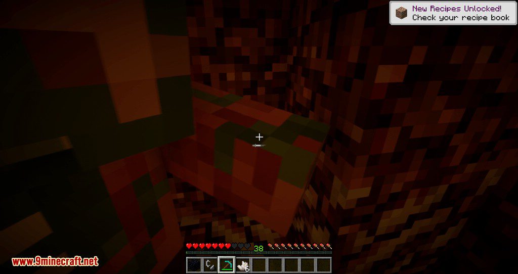 Anger Management Mod (1.16.5, 1.15.2) - Pigmen Calm When A Player Die 9