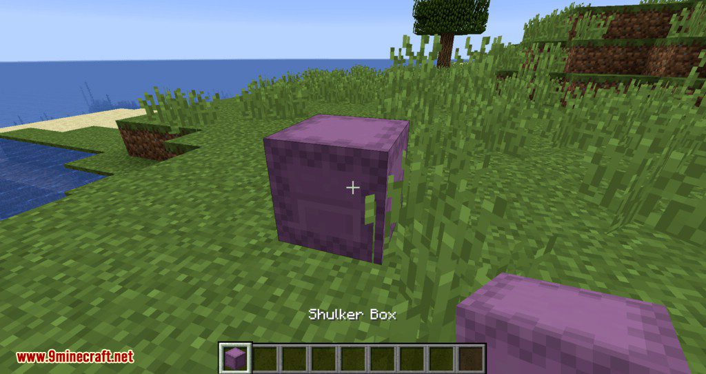 Curious Shulker Boxes Mod (1.19.2, 1.18.2) - Easier Access and Management 3