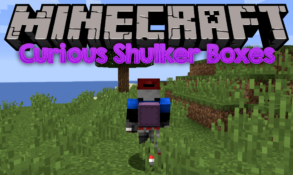 Curious Shulker Boxes Mod (1.19.2, 1.18.2) - Easier Access and Management 1