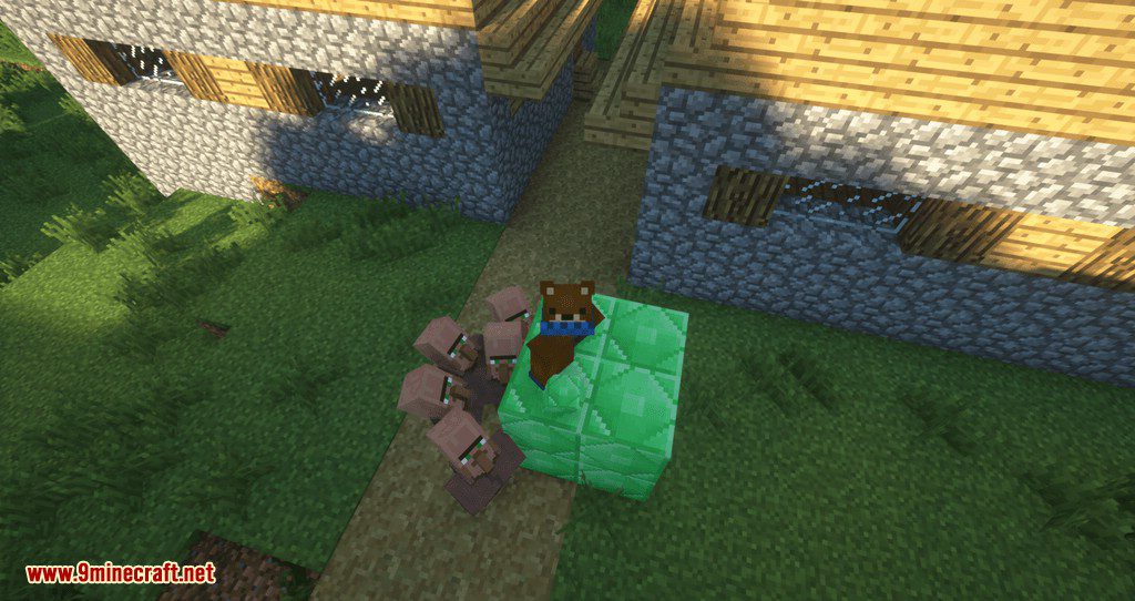 Following Villagers Mod 1.15.2, 1.14.4 (Lure Villagers With Emerald!) 9