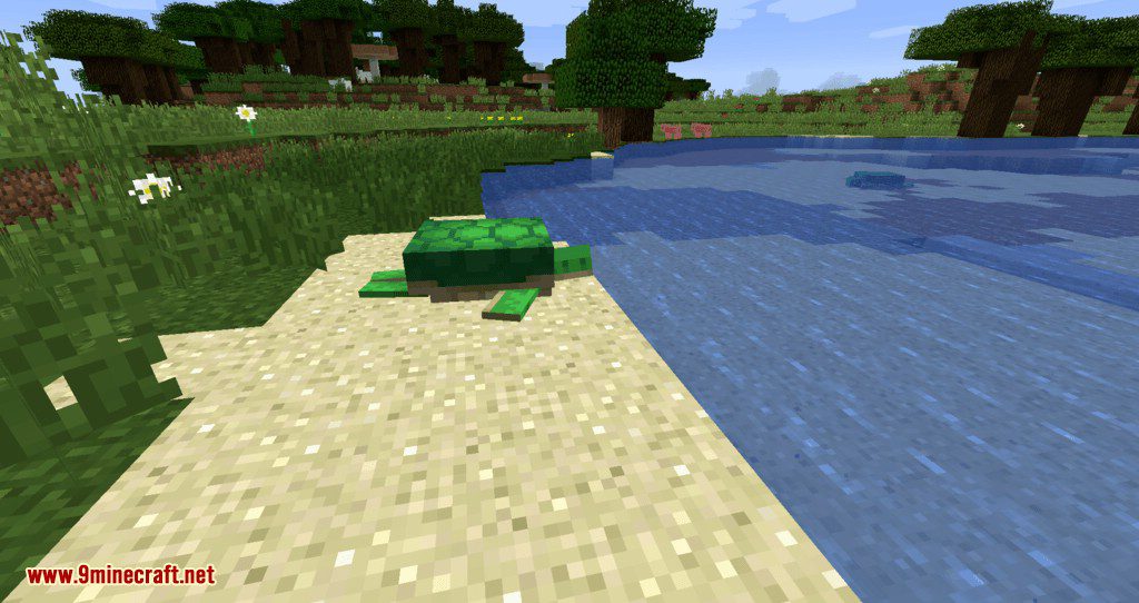 Turtle Shell Drop Mod (1.16.5, 1.15.2) - Turtles Drop Shells When They Die 3