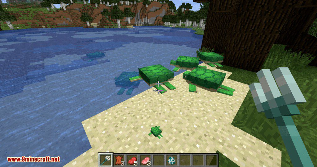 Turtle Shell Drop Mod (1.16.5, 1.15.2) - Turtles Drop Shells When They Die 4