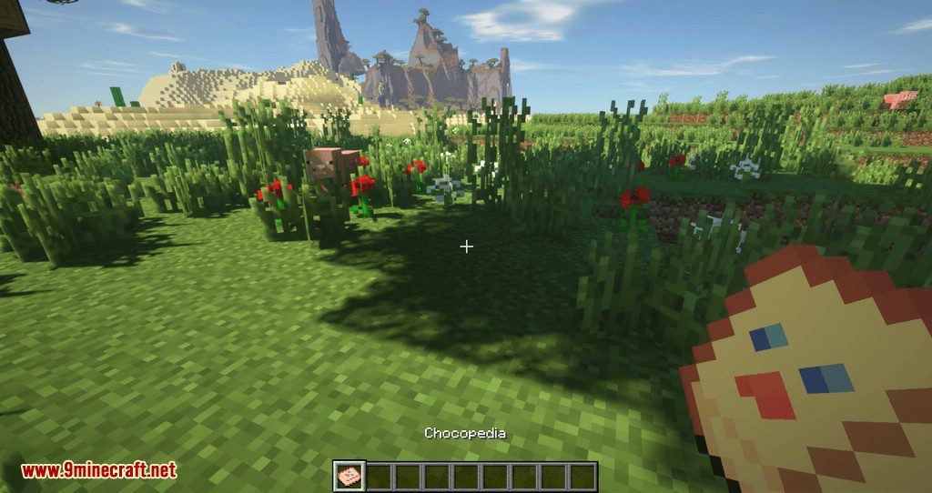 ChocoCraft 3 Mod 1.12.2 (Rideable Chocobos from Final Fantasy) 2