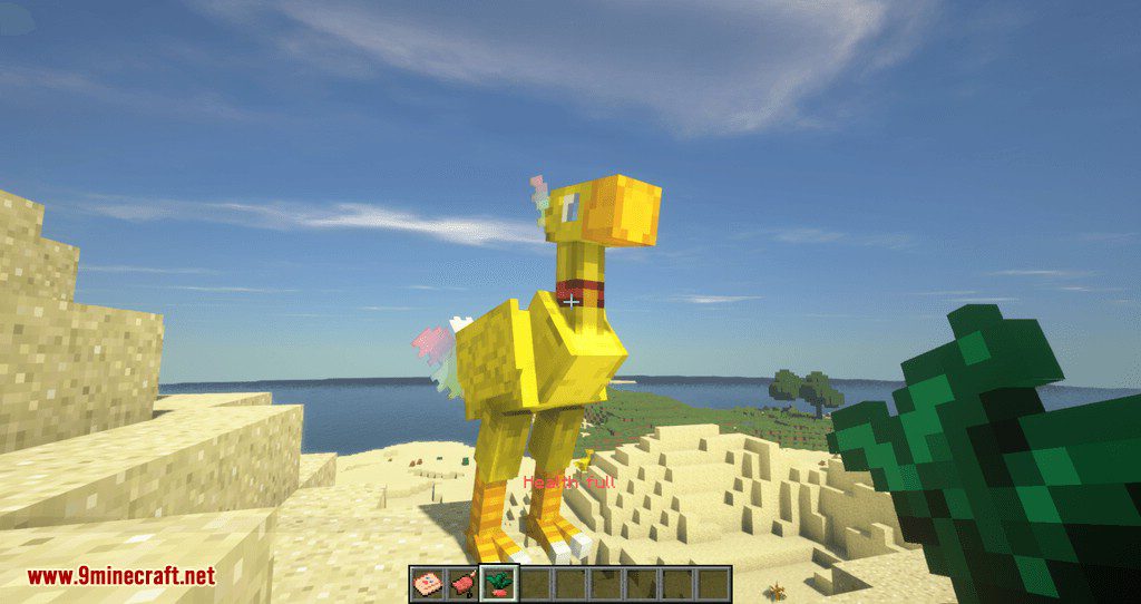 ChocoCraft 3 Mod 1.12.2 (Rideable Chocobos from Final Fantasy) 9