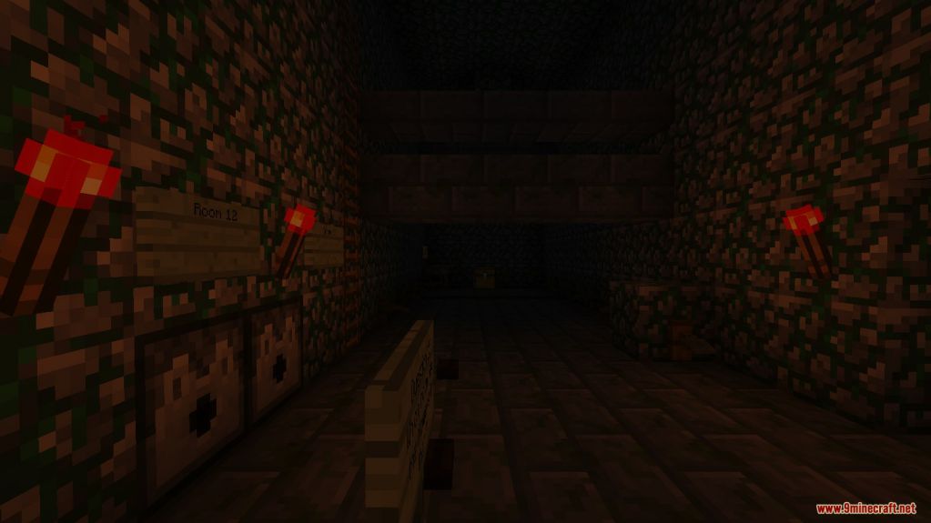 Version Guesser Map 1.13.2 for Minecraft 3