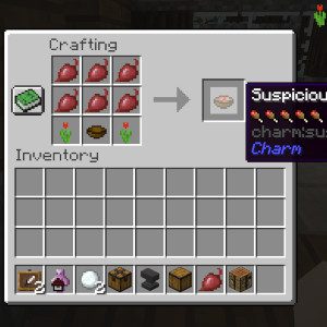 Charm Mod (1.19.2, 1.18.2) - Charmonium, Lots of Small Things 11