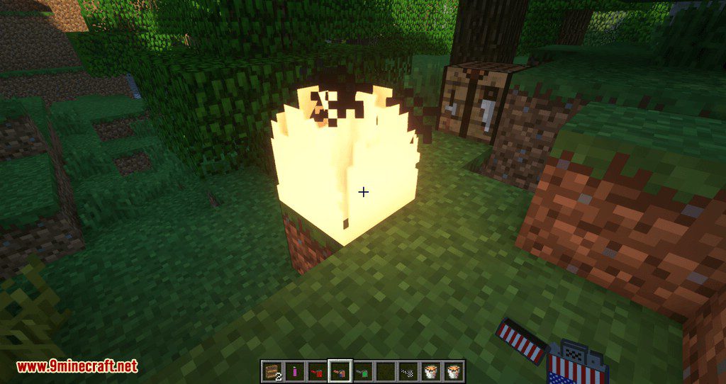 Lighter Mod 1.12.2 (Adds Zippo Style Lighters) 11