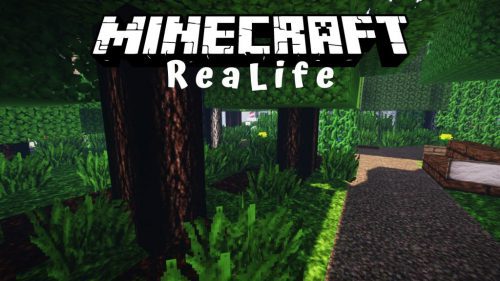 ReaLife Resource Pack 1.14.4, 1.13.2 – Texture Pack Thumbnail
