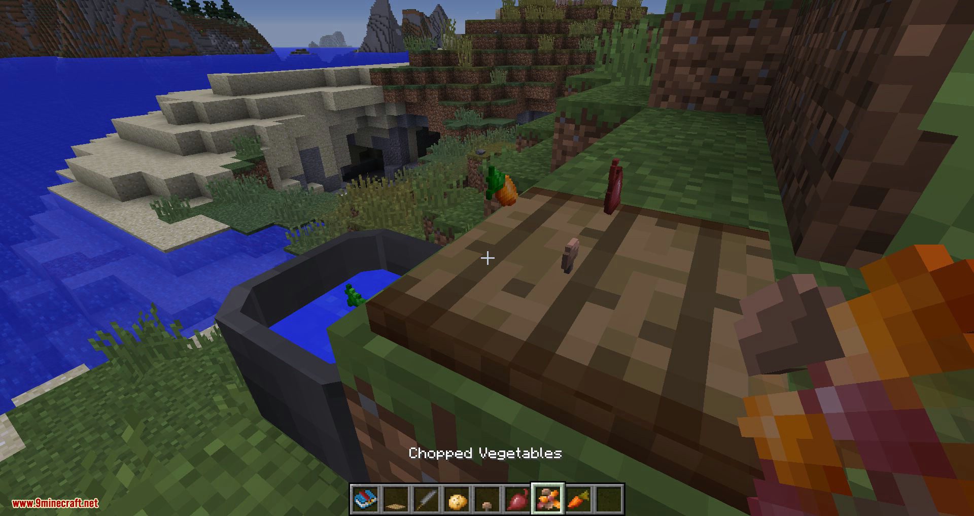 Aqua Munda Mod 1.12.2, 1.11.2 (Immersive Craft Addon Works Around Water & Cooking) 8