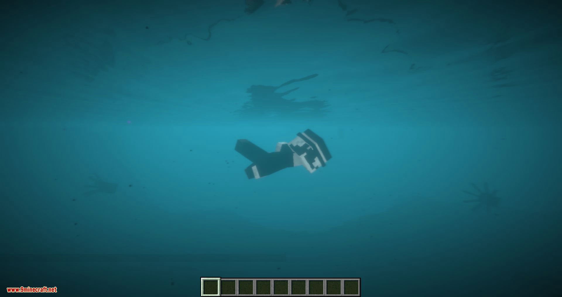 Better Swimming Mod 1.12.2 (1.13 Swim Mechanic) 6