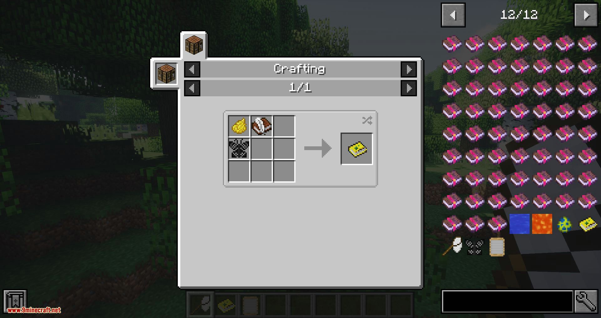 Butterflys Mod 1.12.2 (Thousands of Randomly Created Butterflies) 14