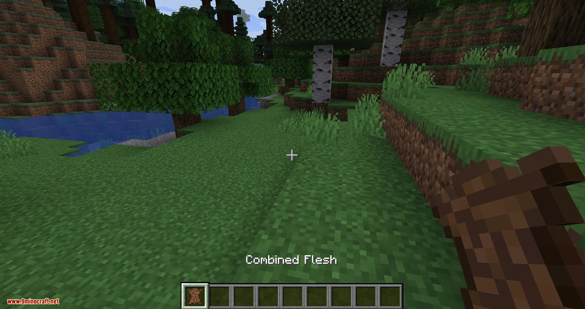 Flesh 2 Leather Mod (1.19, 1.18.2) - Pretty Simple as Its Name 3