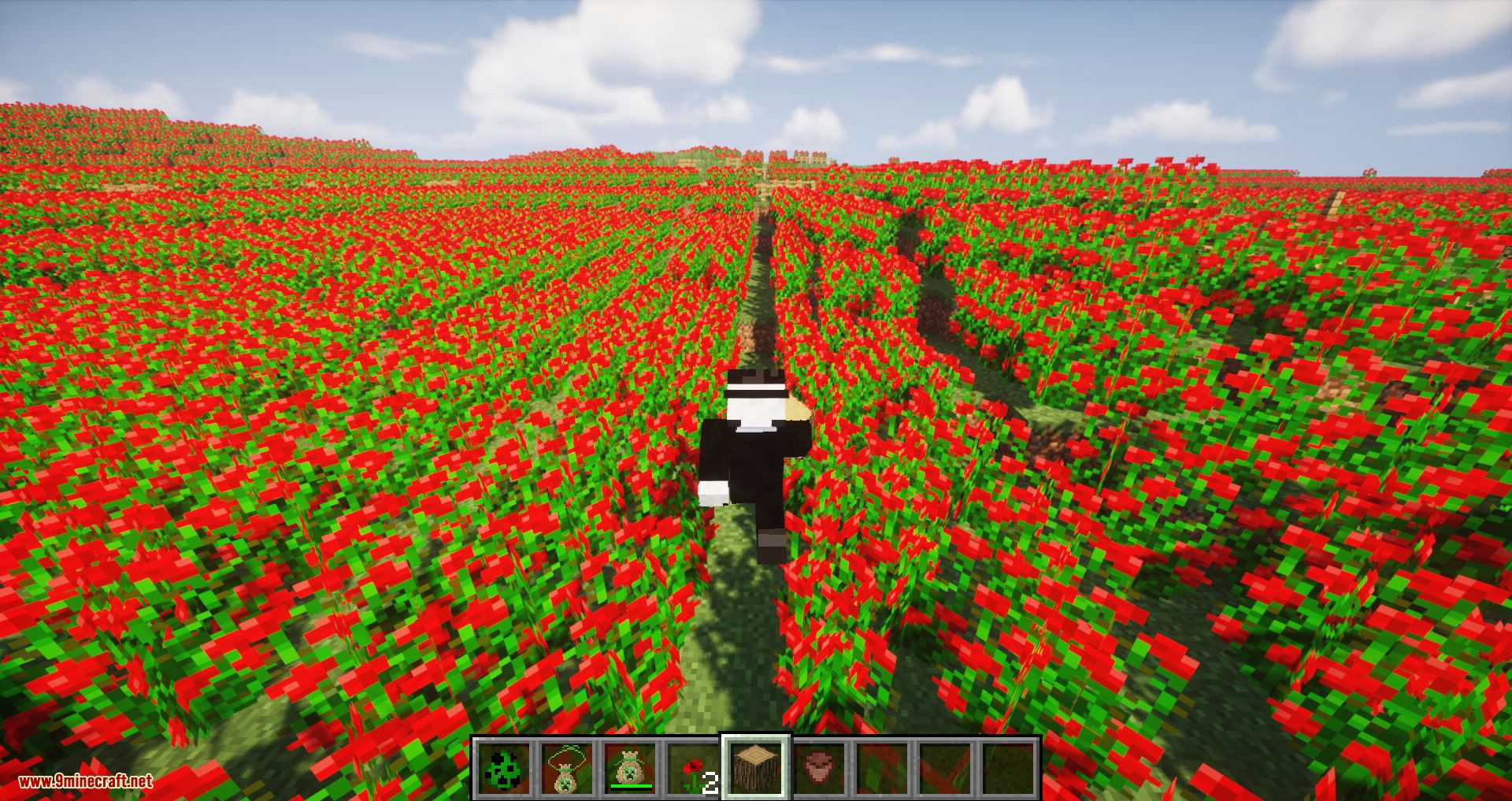 Floricraft Mod 1.12.2, 1.11.2 (Adds Sachets That Add New Effects to Player) 22