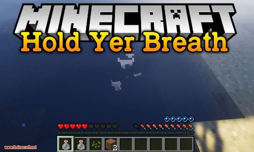 Hold Yer Breath Mod 1.16.5, 1.12.2 (Reinforced Air Bottles) Thumbnail