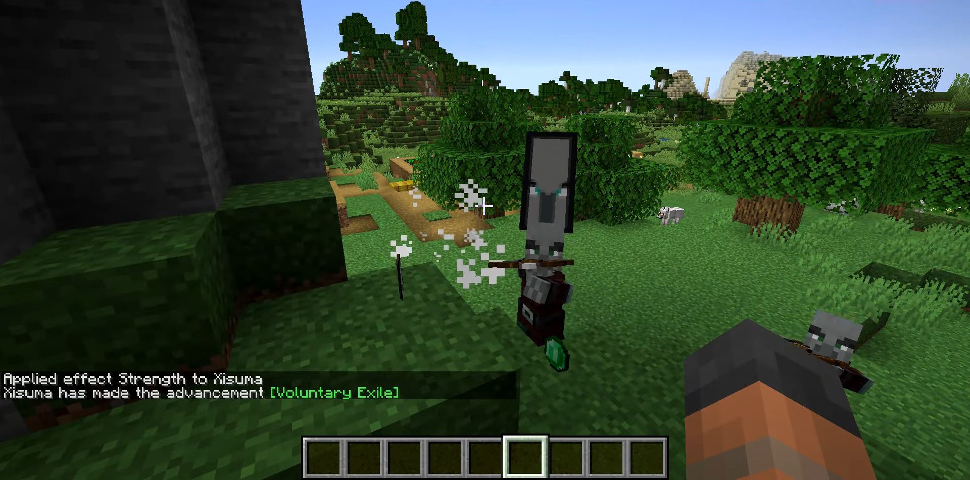 Minecraft 1.14.3 Pre-Release 1 (Villager and Iron Golem Changes) 3