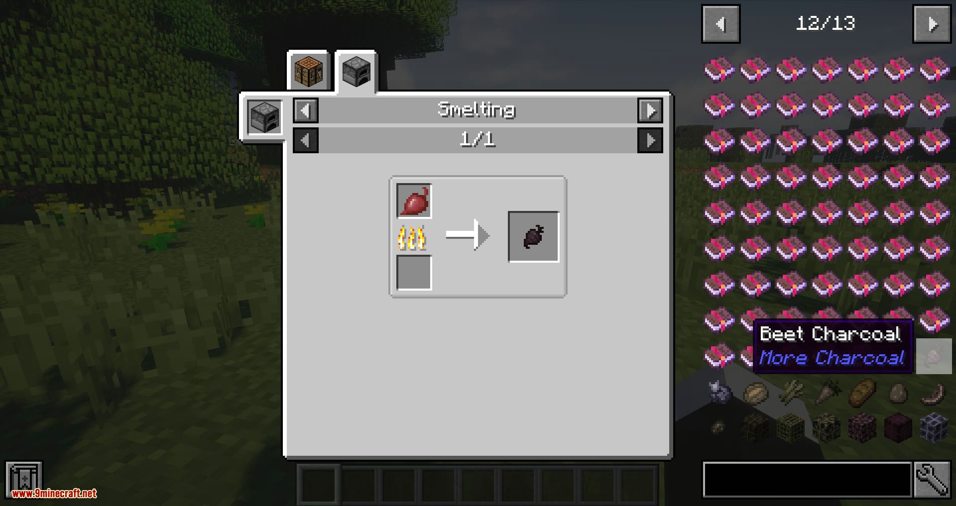 More Charcoal Mod (1.18.2, 1.17.1) - Charcoal Based on Items & Blocks 3