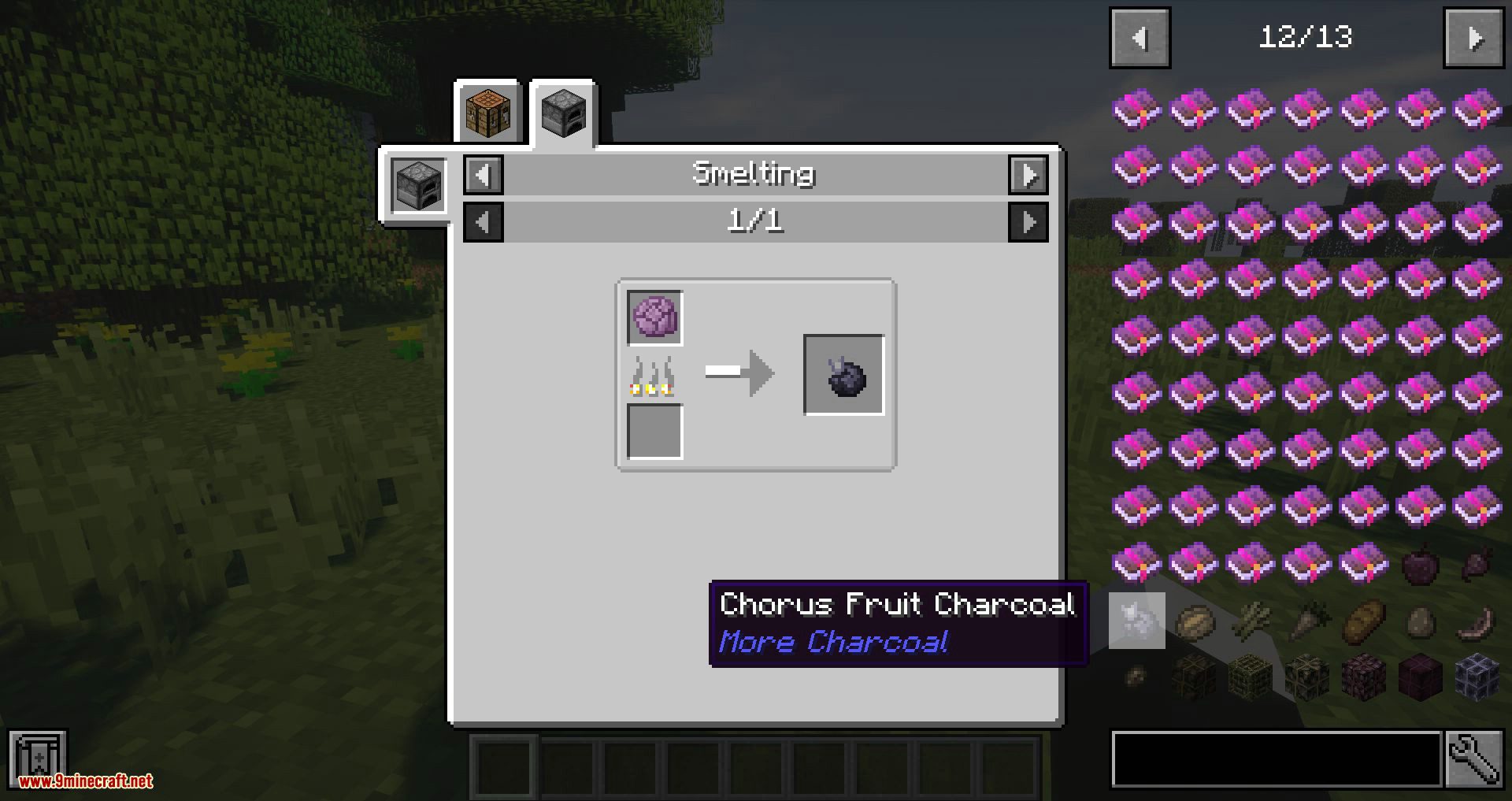 More Charcoal Mod (1.18.2, 1.17.1) - Charcoal Based on Items & Blocks 4