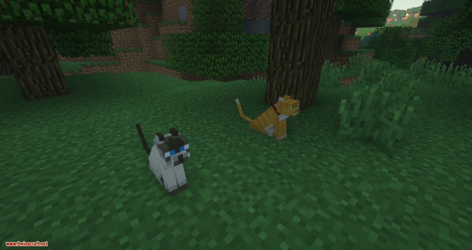 Not Enough Cats Mod 1.12.2, 1.11.2 (New Cat Types & Spawning Behavior) 20