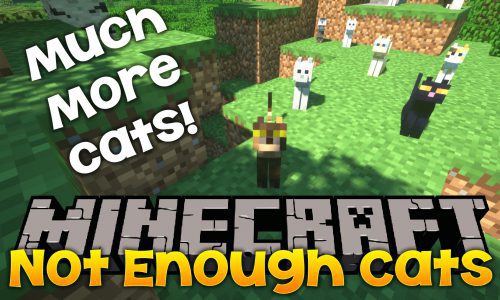 Not Enough Cats Mod 1.12.2, 1.11.2 (New Cat Types & Spawning Behavior) Thumbnail