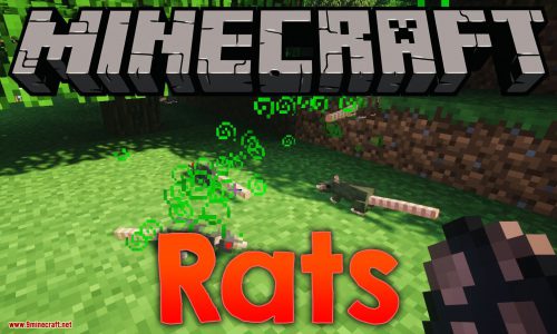 Rats Mod (1.19.4, 1.16.5) – Awesome Mod About Rat Thumbnail