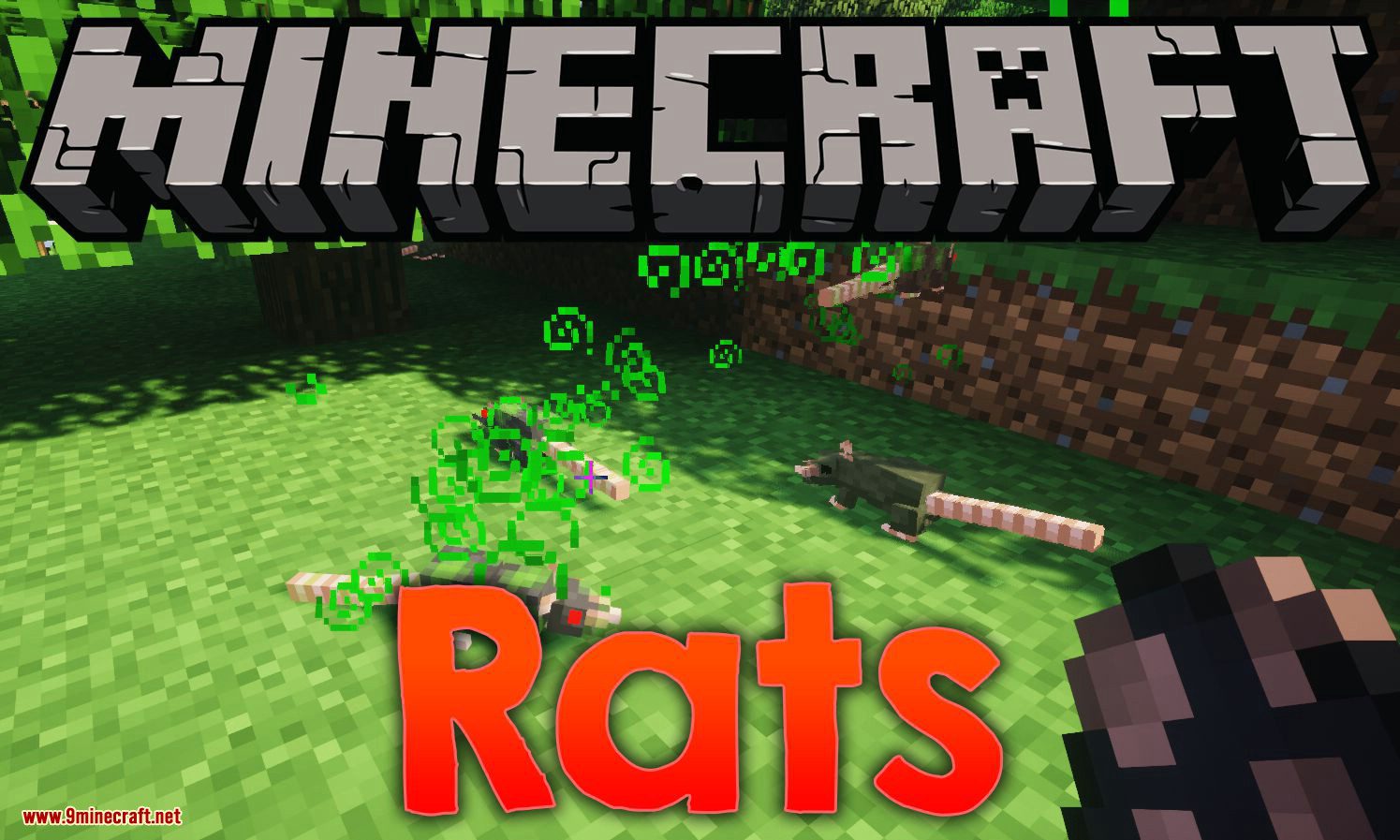 Rats Mod (1.20.1, 1.19.4) - Awesome Mod About Rat 1