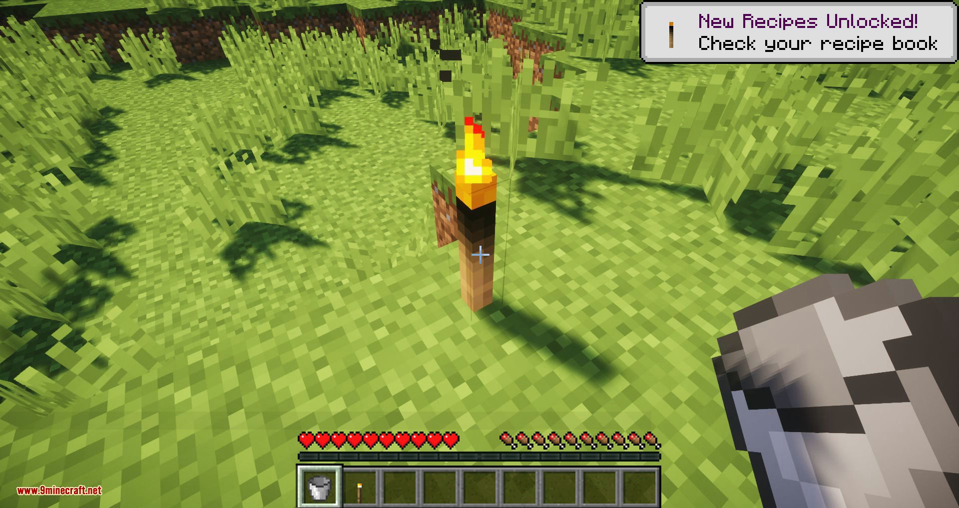 Burning Torches Mod (1.18.2, 1.16.5) - Torches Are Not Forever 2