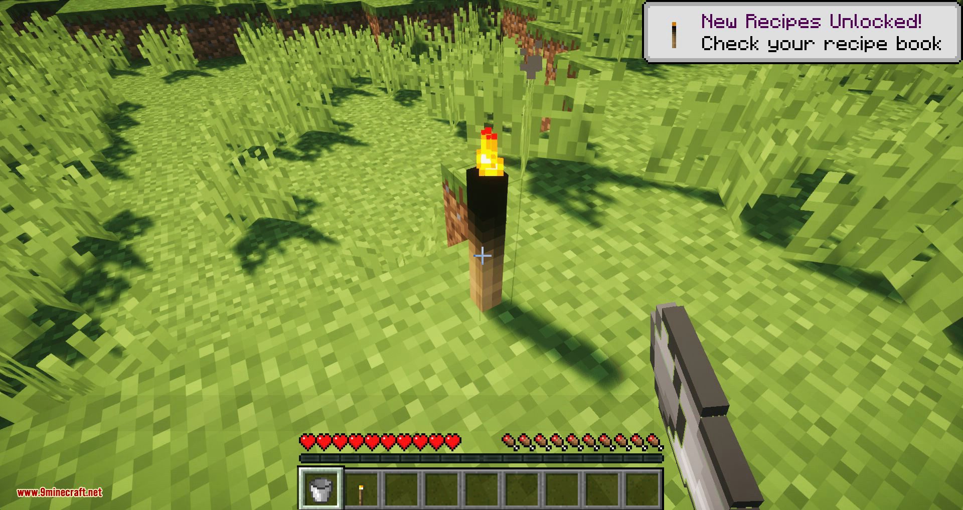 Burning Torches Mod (1.18.2, 1.16.5) - Torches Are Not Forever 3