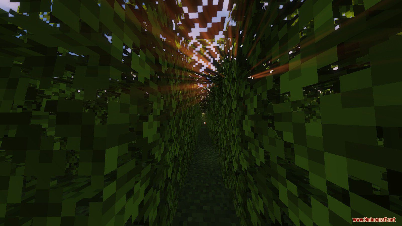 Maze Runner Map 1.14.4 for Minecraft 12