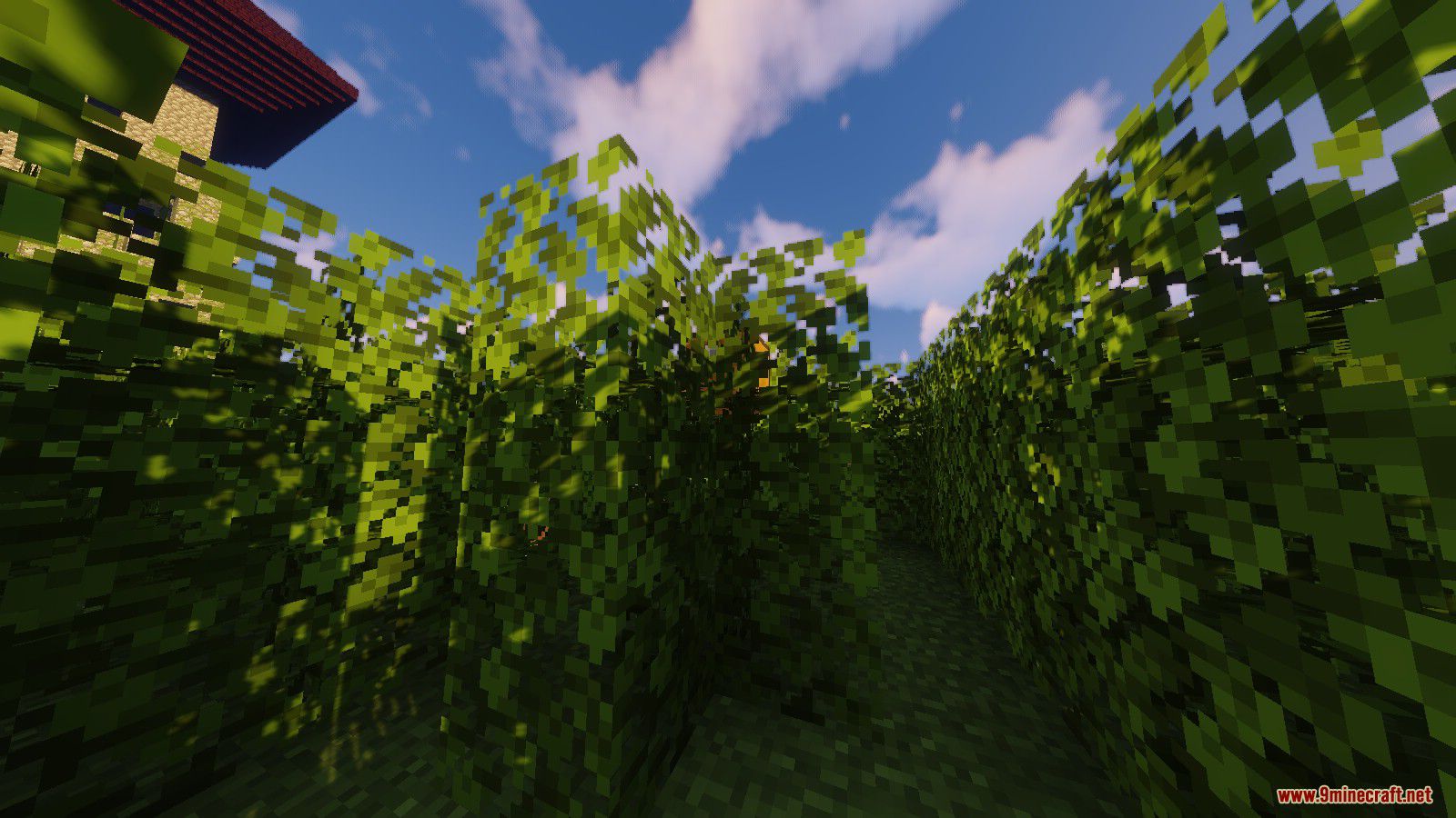 Maze Runner Map 1.14.4 for Minecraft 6