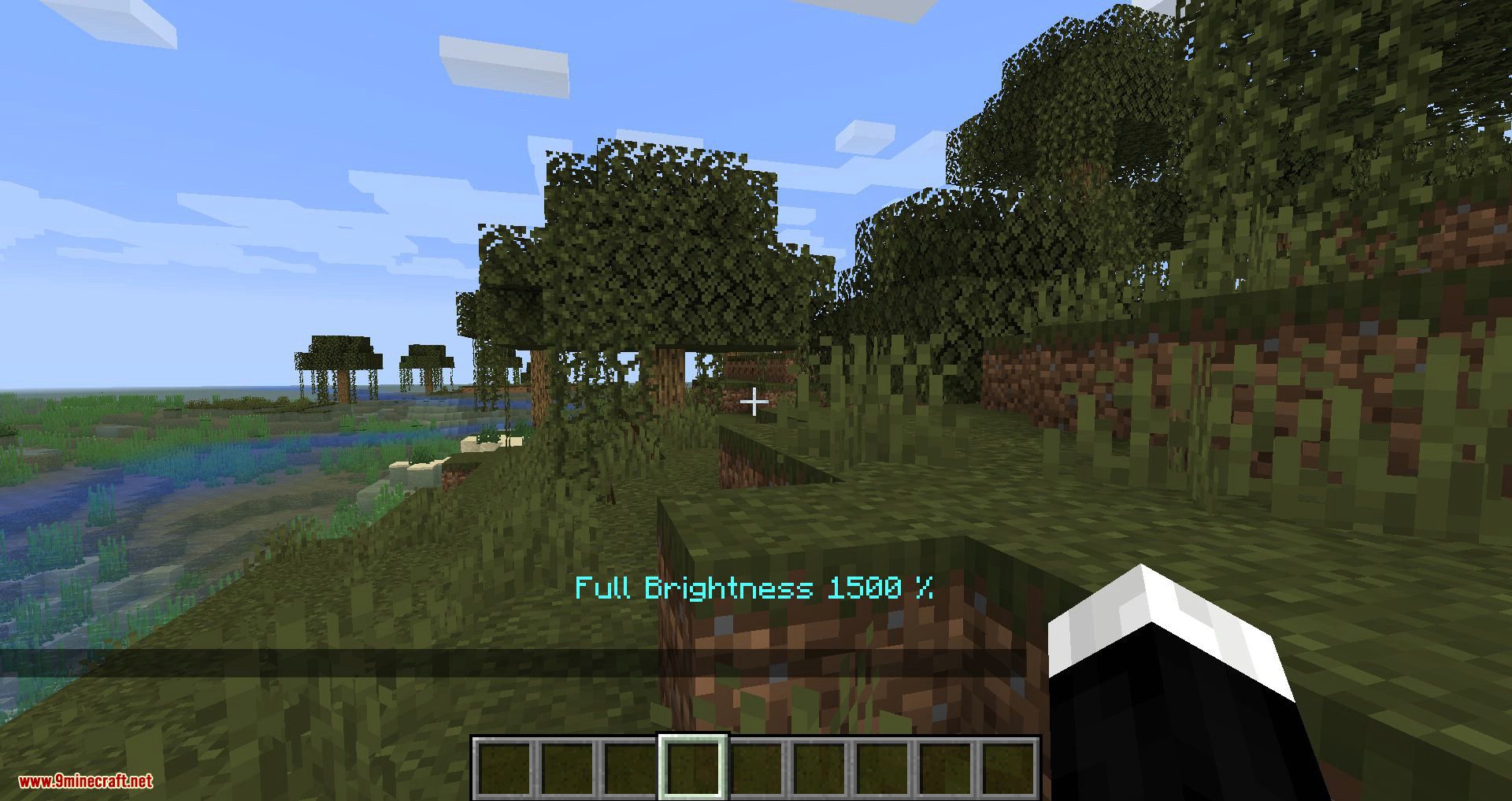 My Brightness Mod 1.16.5, 1.15.2 (Adjust Your In-game Brightness) 2