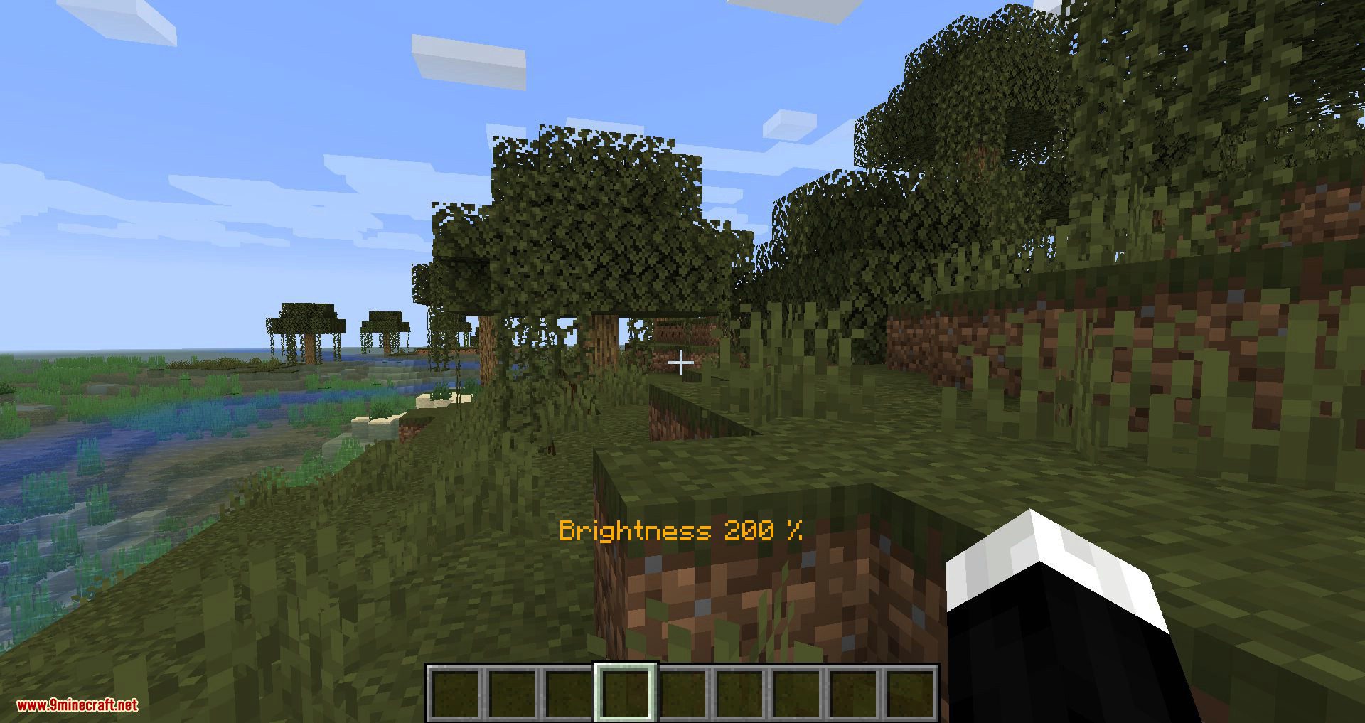 My Brightness Mod 1.16.5, 1.15.2 (Adjust Your In-game Brightness) 3