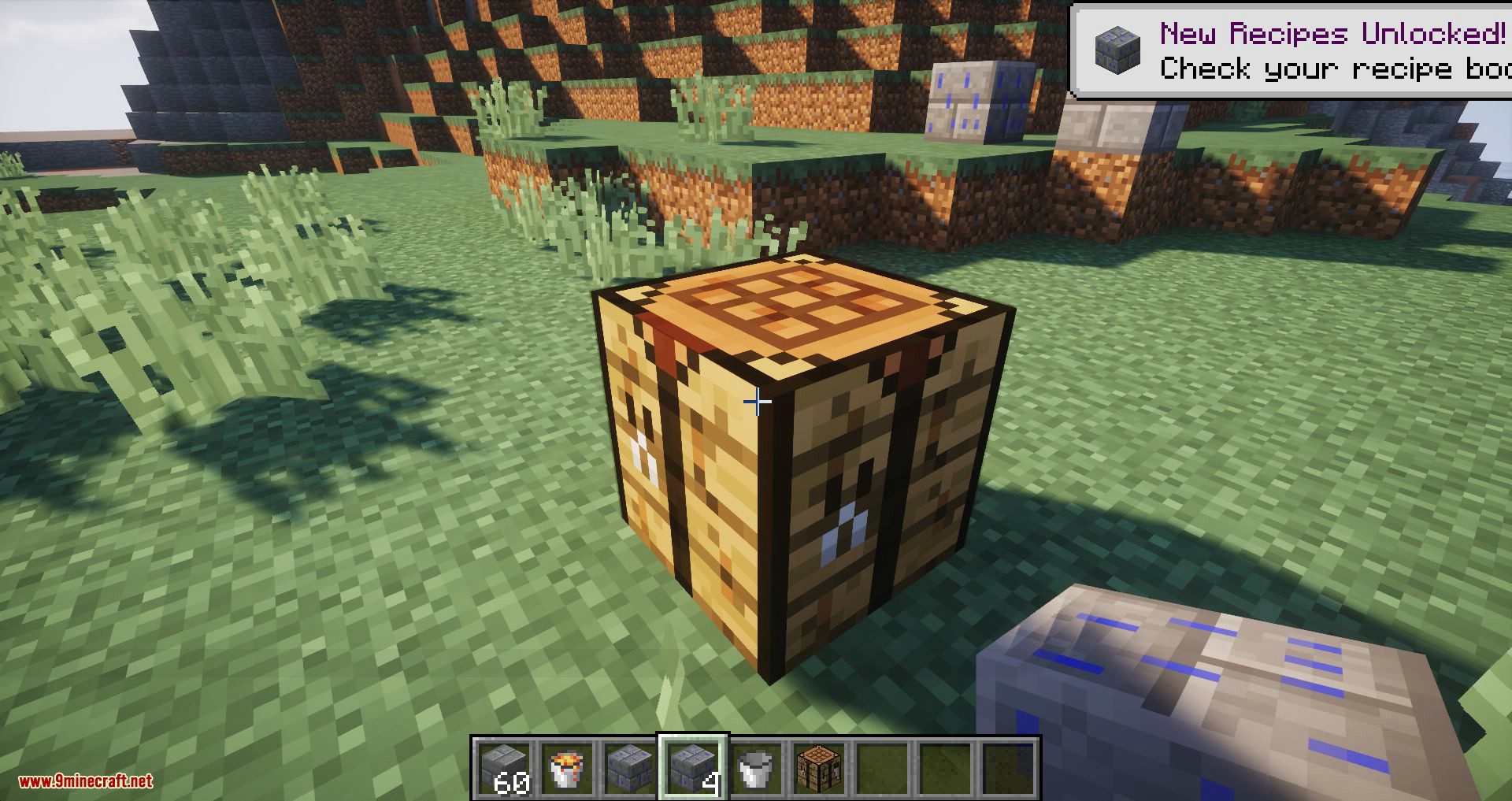 Wetstone Mod 1.16.5, 1.15.2 (A Solid Block Which Acts Like Water) 9