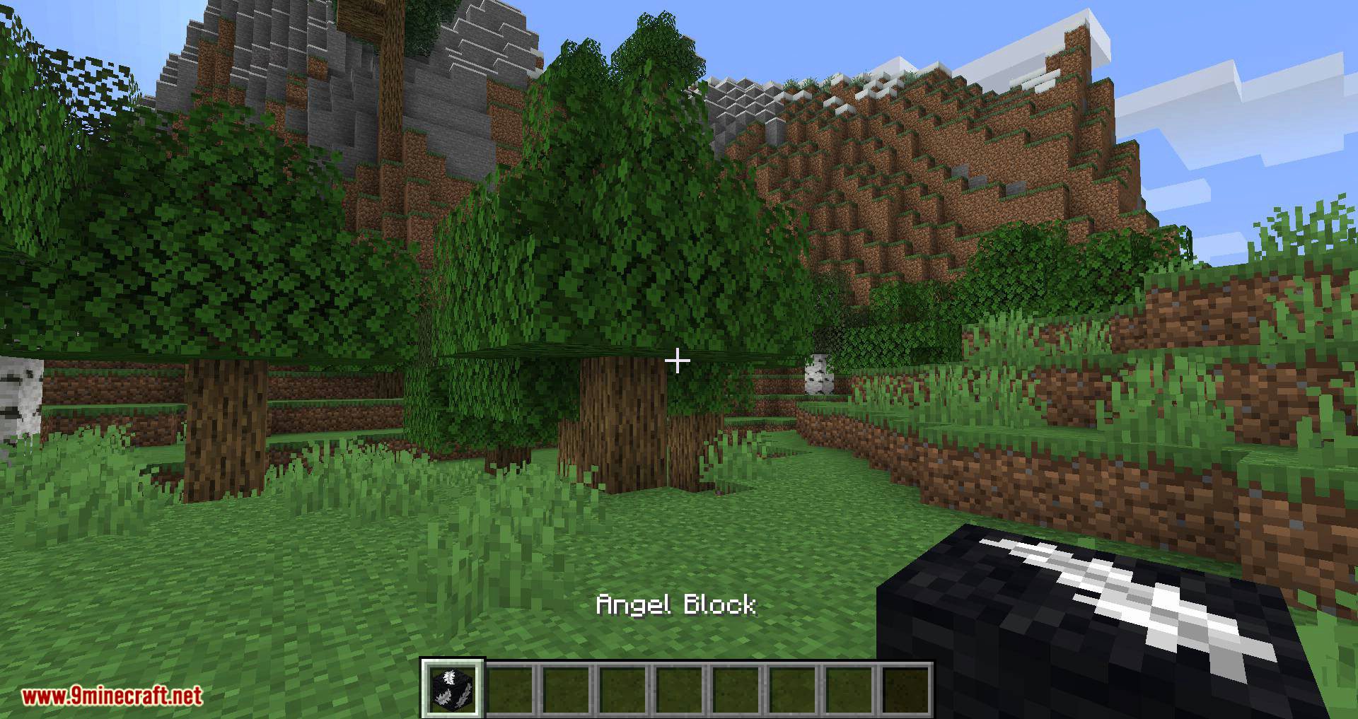 Angel Block Mod 1.16.5, 1.15 (A Block Can be Placed in Mid-Air) 4