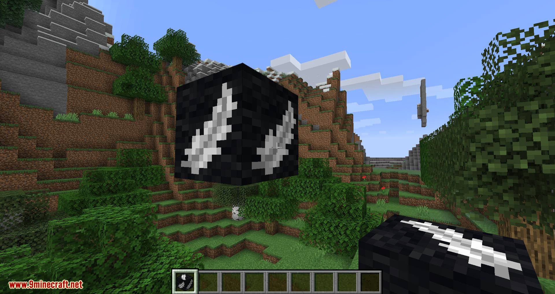 Angel Block Mod 1.16.5, 1.15 (A Block Can be Placed in Mid-Air) 5