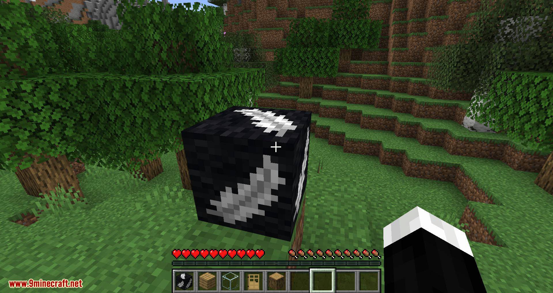 Angel Block Mod 1.16.5, 1.15 (A Block Can be Placed in Mid-Air) 9