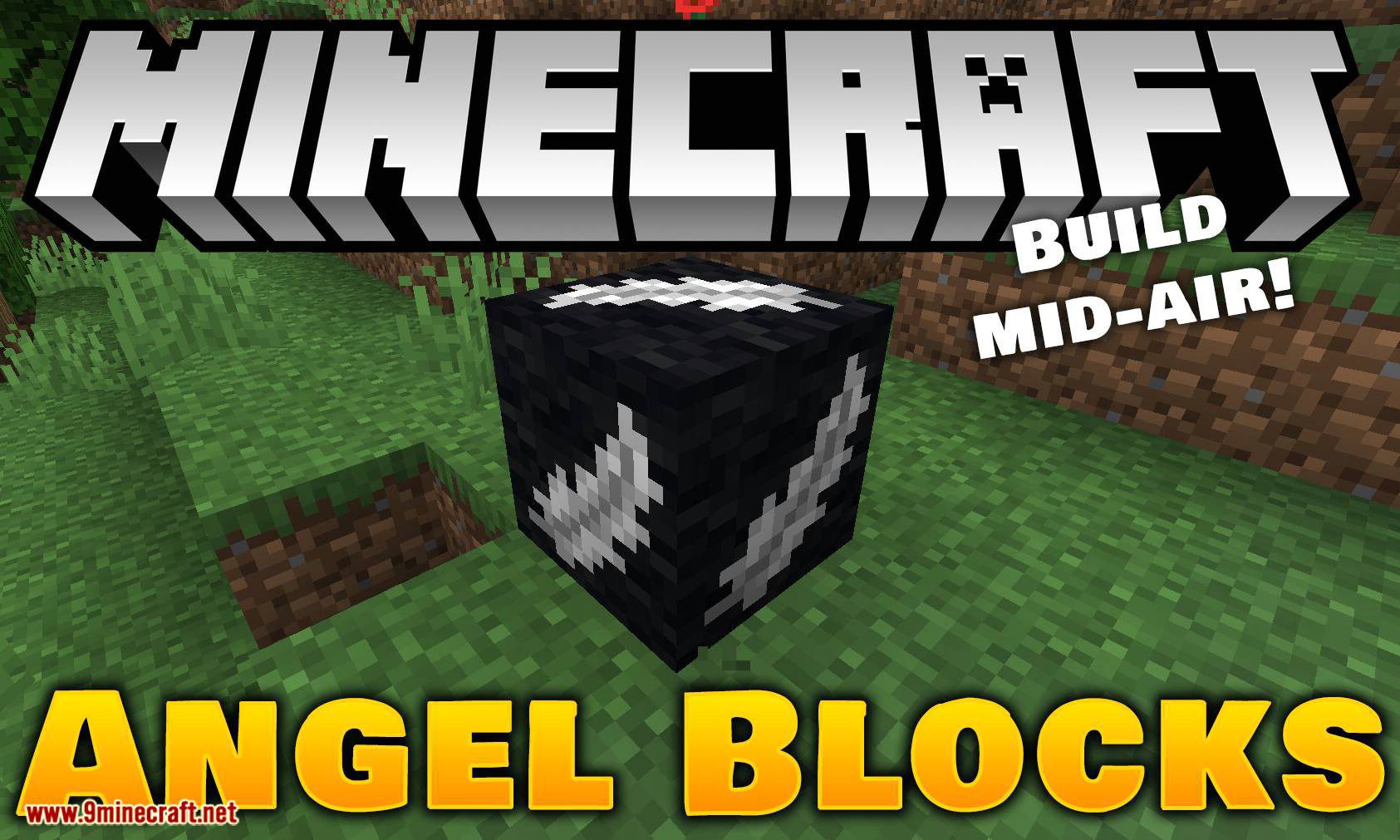 Angel Block Mod 1.16.5, 1.15 (A Block Can be Placed in Mid-Air) 1