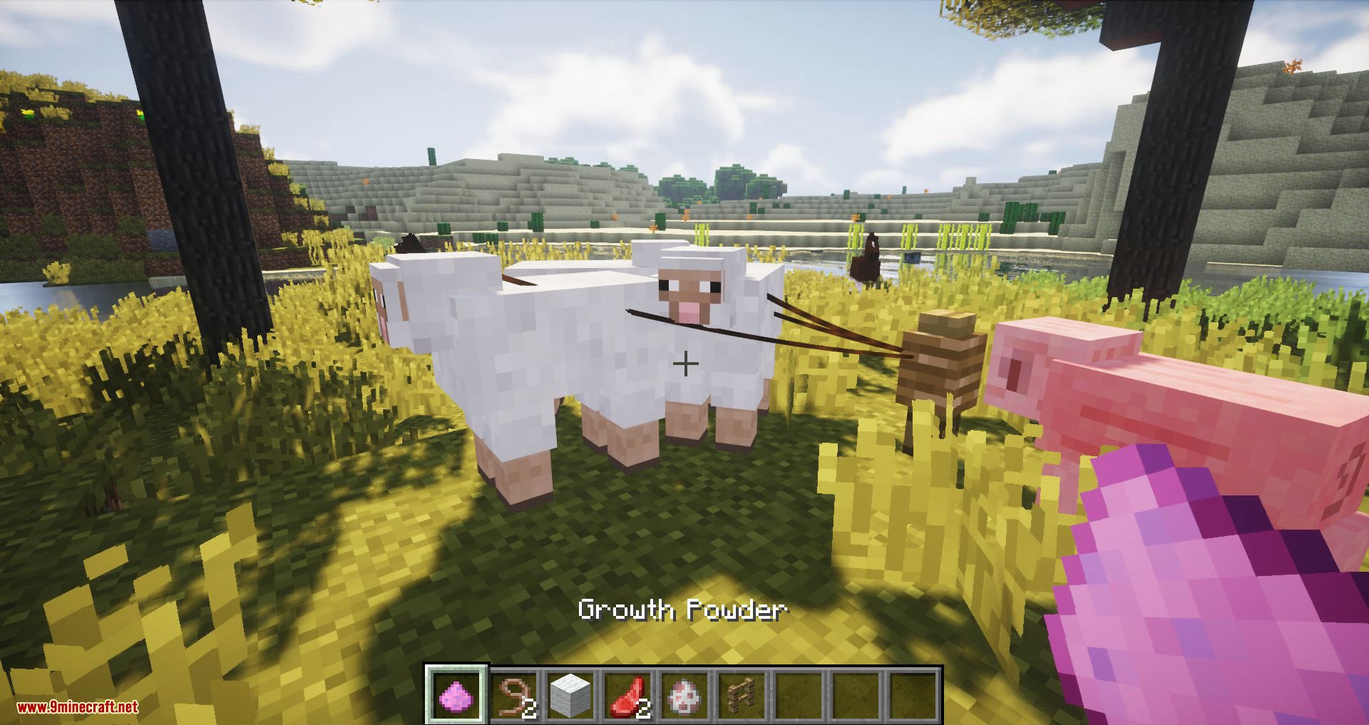 Balloon Sheep Mod 1.12.2 (Makes Sheep Fly) 10