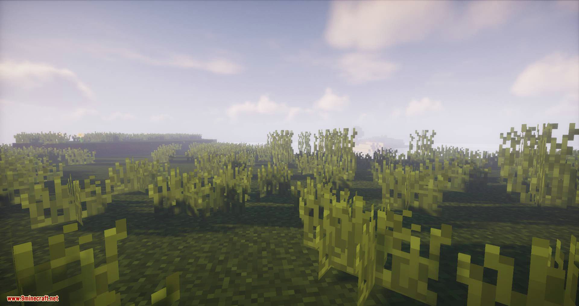 Biome Growth Controls Mod (1.18.2, 1.17.1) - Disable Sapling and Plant Growth Per Biome 3