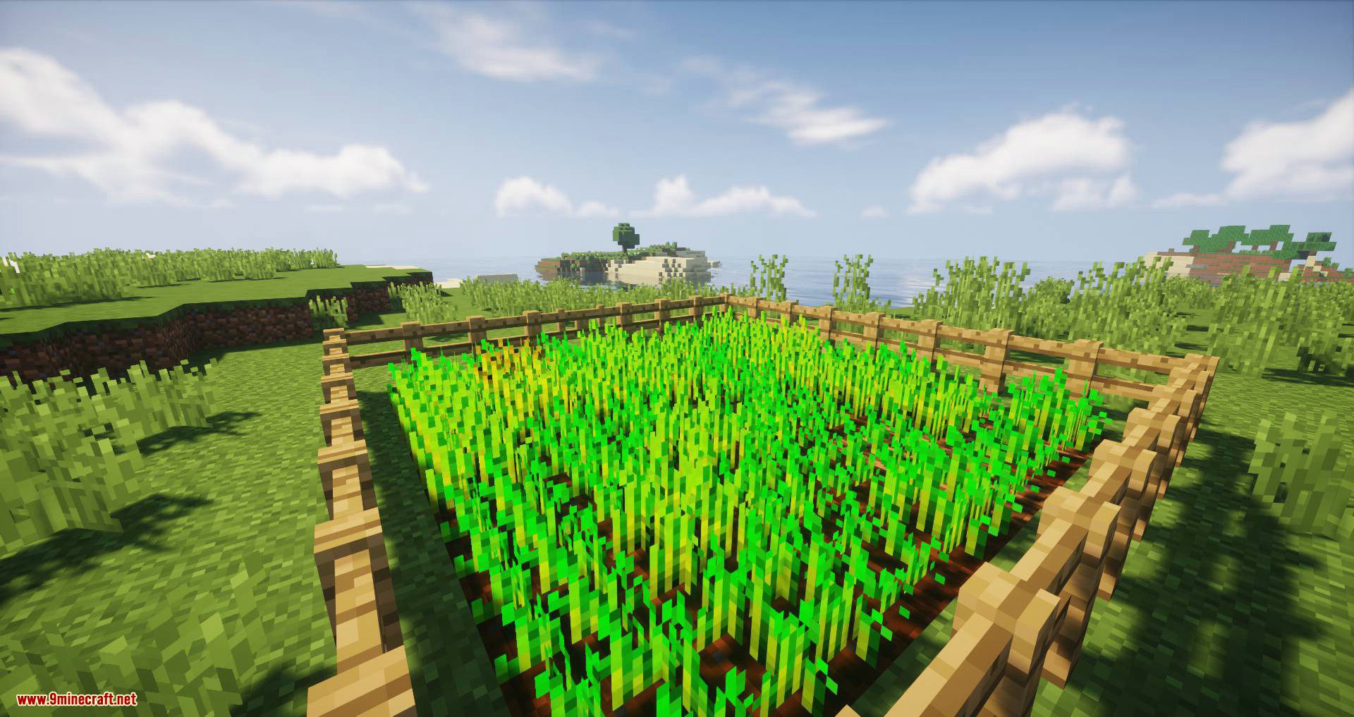 Biome Growth Controls Mod (1.18.2, 1.17.1) - Disable Sapling and Plant Growth Per Biome 7