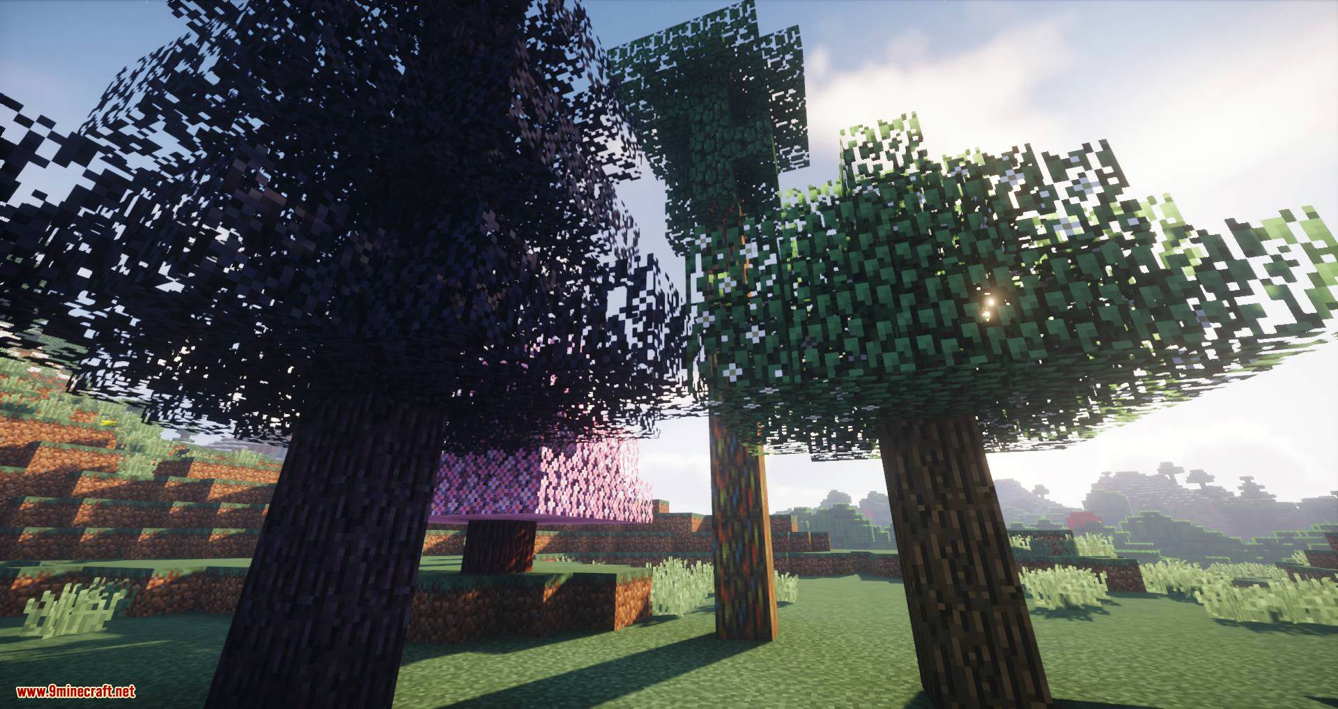 Corail Pillar - Extension Biomes O'Plenty Mod 1.15.1, 1.14.4 (An Extension Mod) 7