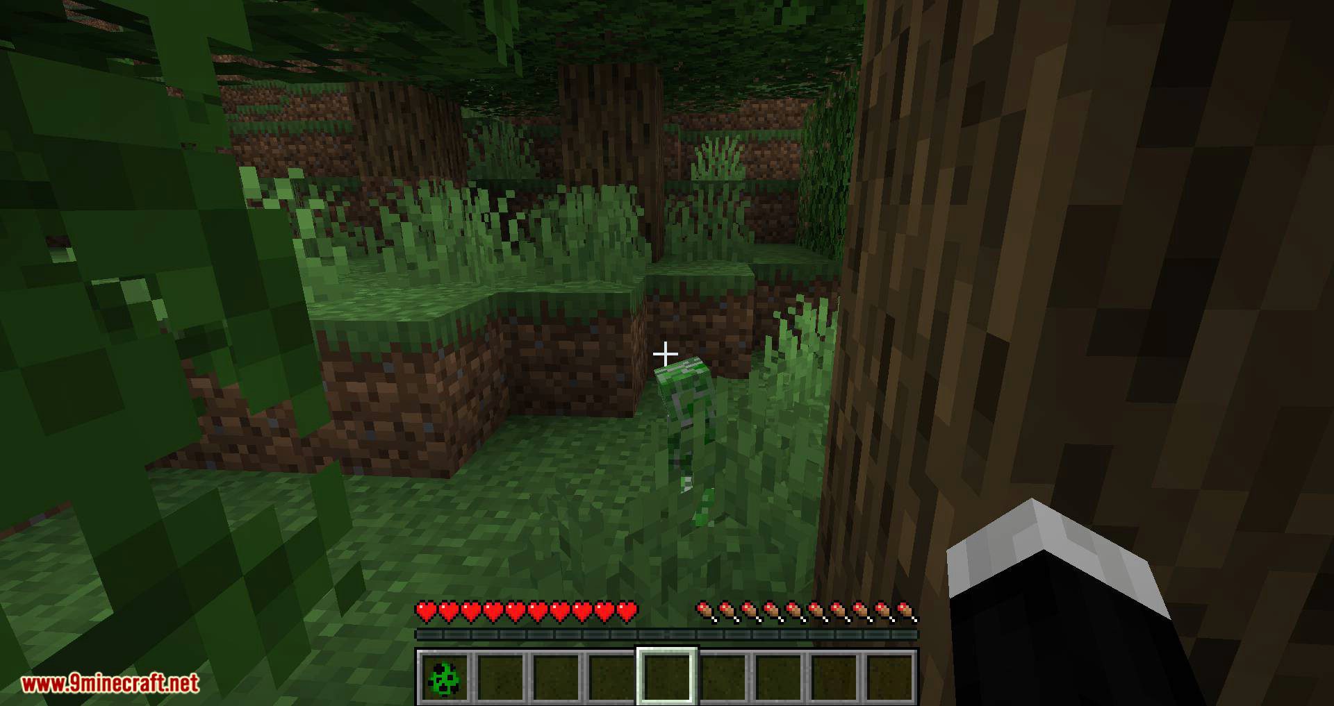 Creeper Spores Mod (1.20.1, 1.19.4) - Did You Know Creepers Were Plants? 6