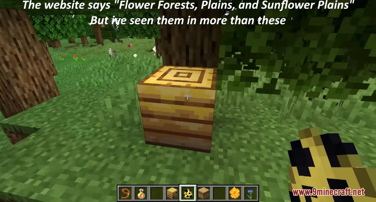 Minecraft 1.15 Snapshot 19w34a (Bee Nest, Hive, Honeycomb & Honey) 3