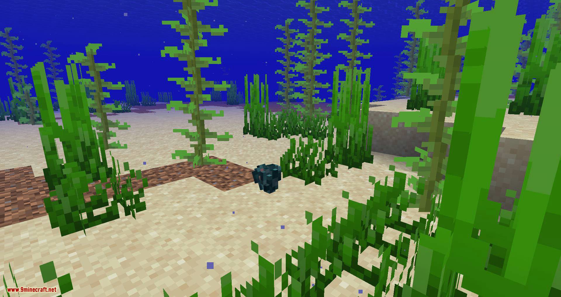 Oysters Mod (1.18.1, 1.16.5) - Aquatic Themed Resource Generation 3