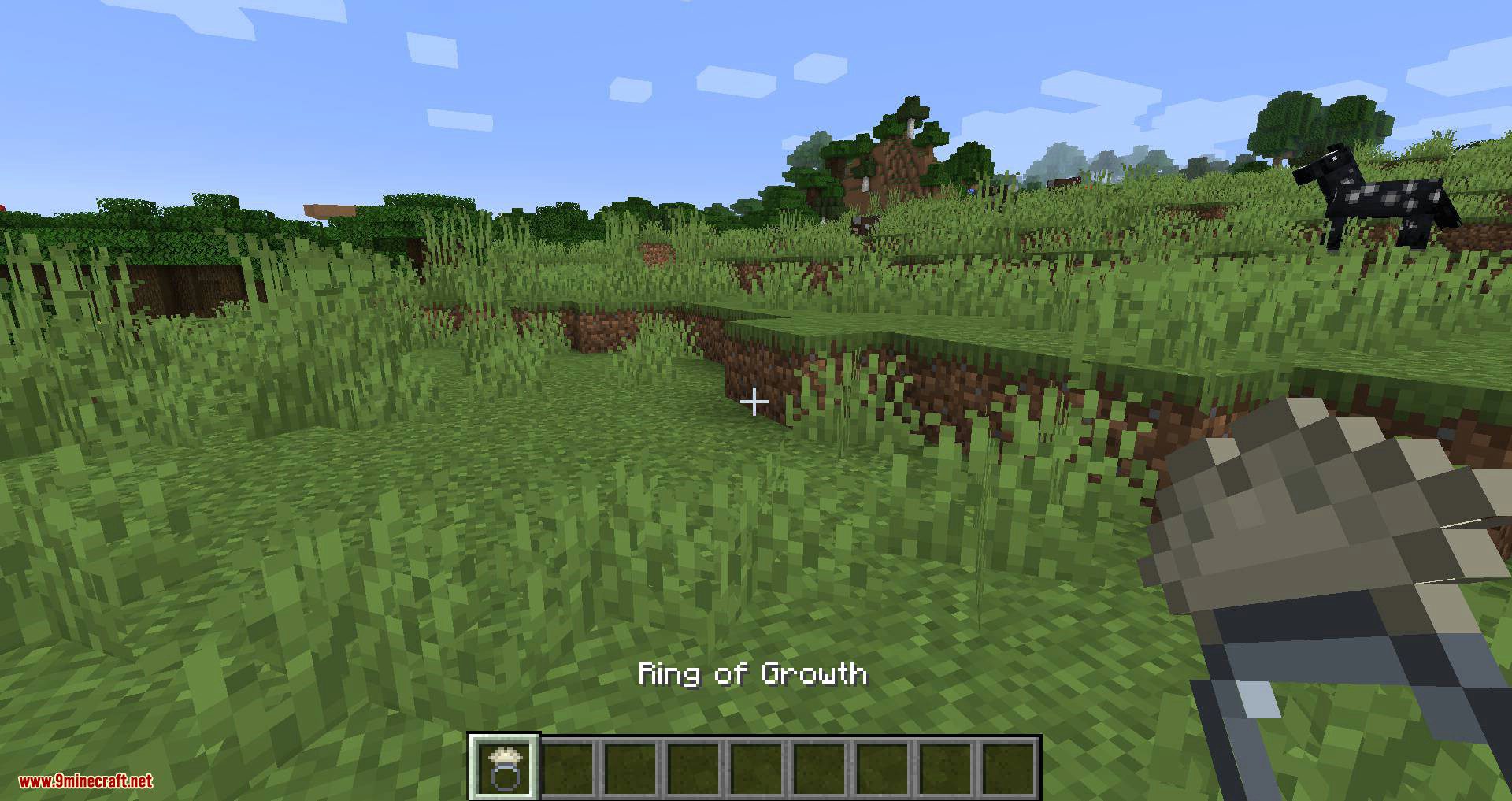 Ring of Growth Mod (1.20.4, 1.19.3) - Accelerates the Growth 2
